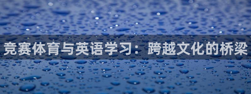 vsport体育