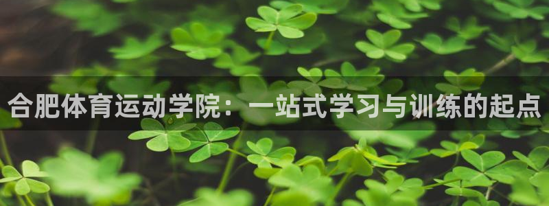 vsport体育：合肥体育运动学院：一站式学习与训练的起点