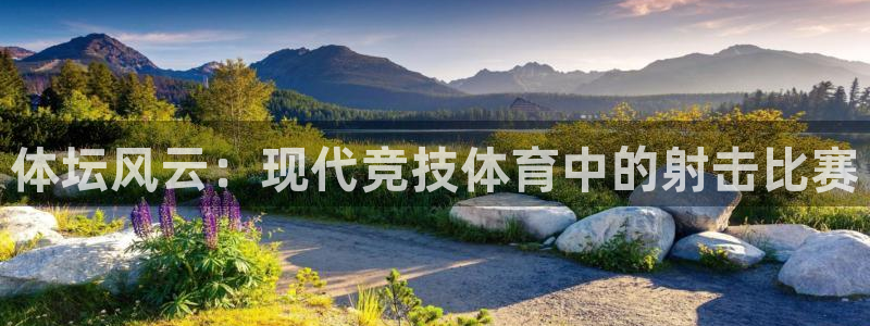 vsport体育在线官网：体坛风云：现代竞技体育中的射击比赛