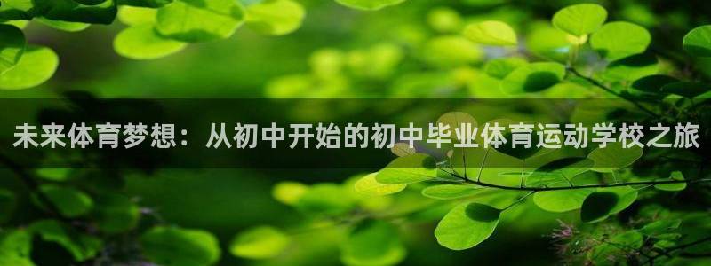 vsport体育在线官网