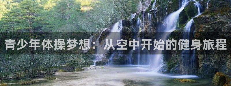 vsport体育在线官网：青少年体操梦想：从空中开始的健身旅程