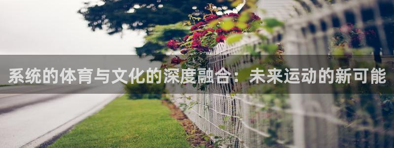 vsport体育在线官网
