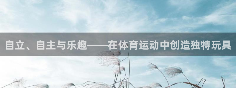vsport体育：自立、自主与乐趣——在体育运动中创造独特玩具