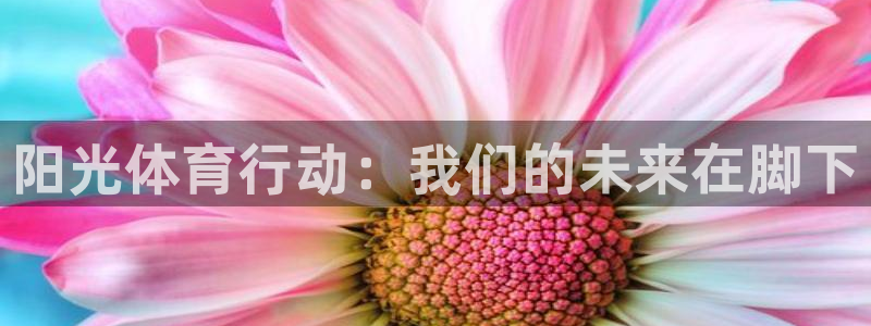 vsport体育在线官网：阳光体育行动：我们的未来在脚下